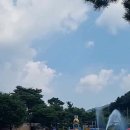신흥레져타운 | 신흥레저타운: 사계절 내내 즐길 수 있는 피크닉 테마파크!