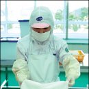 싱싱魚 이미지