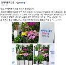 정플라워 이미지