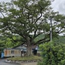 현암리(수레넘이) 이미지