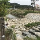 회덕보건진료소 네이버블로그