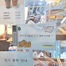 타미드브레드 | 우장산빵집 타미드브레드 어떨까 발산역 빵집 솔직후기