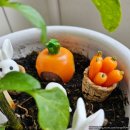 송미농장 이미지