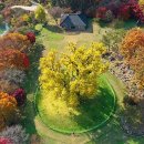 수곡용계로(길안면) 이미지