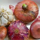 아이펫 동물병원 이미지