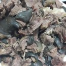 부귀산장펜션 이미지