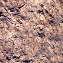 진주 유수리 백악기 화석산지 이미지