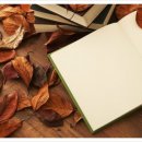 팽성보건지소 이미지