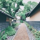 오부세
