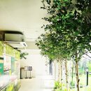 나무아래분식 이미지