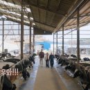 장훈목장 이미지