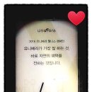 유니베라큰진주