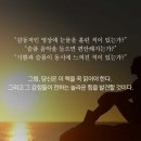 비터스위트 이미지