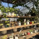 힐링빌리지 이미지