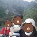 올치동물병원 이미지