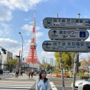 세븐일레븐 남영프라임타워점 | 도쿄 DAY3 :: 카멜백/리틀냅 커피 스탠드/이타마에 스시/도쿄타워/칸아가리 하나레