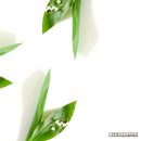 명지더나음한의원 이미지