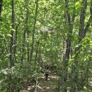 대전둘레산길(2구간) 이미지