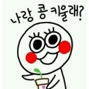 디디다(DDDA)