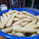 계란마을 이미지