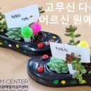 조효미 원예컬러심리센터
