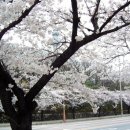 박권규 Daum카페