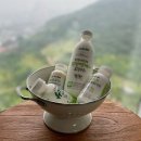 아침마다 문 앞에! 창원 파스퇴르 유기농 우유 4종 가정배달 리얼후기