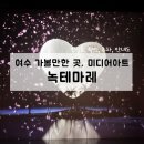 여수 가볼만한 곳, 녹테마레 미디어아트 내돈내산 솔직후기(아르떼 비교, 할인)