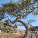 번창농장 이미지