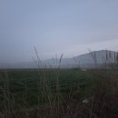 화홍초등학교 이미지