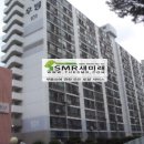 용인대 대동 태권도 이미지