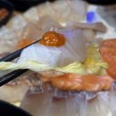 파도초장 티스토리