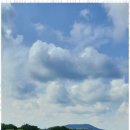 올래민박 이미지