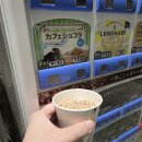 하치이야기 | 2025 도쿄 2일차, 첫 번째 - 도쿄도청 전망대, 일본 가정식