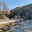 용천토리 오토캠핑장 이미지