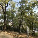 비봉산주유소 이미지