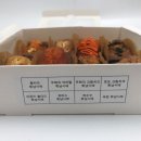 가연스테이&가연팜