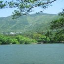 오쇼라즈니쉬 명상 이미지