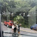 우리생협한성대역점 | 카페, 이화마을 걷기, 성북천, 카페 발디, 오아시스 생협 곱창김, 평일 운동, 이너시아 입는 생리대 불량
