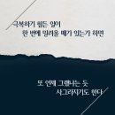 온새미로 이미지