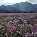 원용복마을 이미지