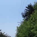 육신사(구) 이미지