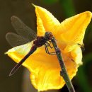 회현농장 이미지