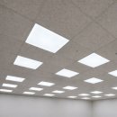 의정부고려전기학원 | 의정부 사무실 텍스천장 LED평판등 교체 │ 형광등 그대로 두면 전기요금 손해