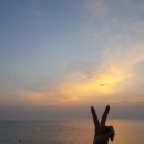 호방다방 네이버블로그