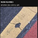 행운감자탕 이미지