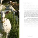 알라딘목장 이미지