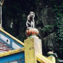 국기로 상상하는 아시아 | 2016 여름 동남아 배낭여행 Preview Help University - ESC