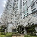 청수건설(주) 이미지