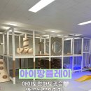 아이팡 플레이 이미지